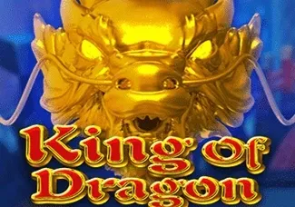 King Of Dragon screenshot